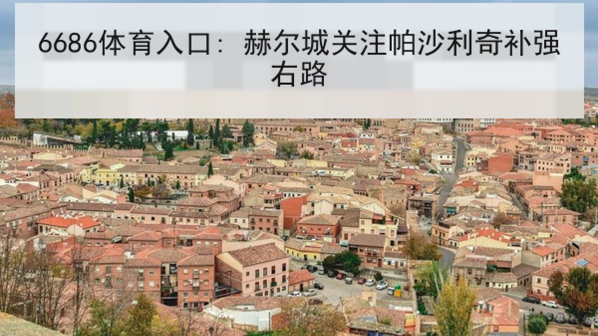 6686体育入口: 赫尔城关注帕沙利奇补强右路