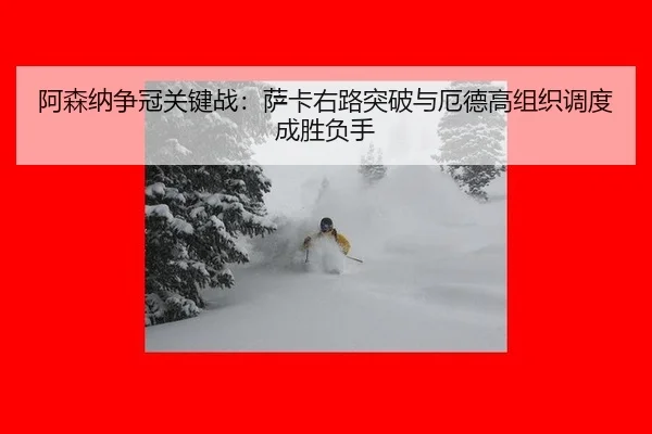 a-sen-na-zheng-guan-guan-jian-zhan-sa-ka-you-lu-tu-po-yu-e-de-gao-zu-zhi-diao-du-cheng-sheng-fu-shou-3-848.jpg